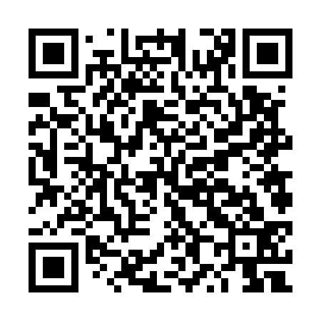 QR code for DX6533