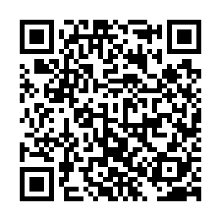 QR code for DX6728