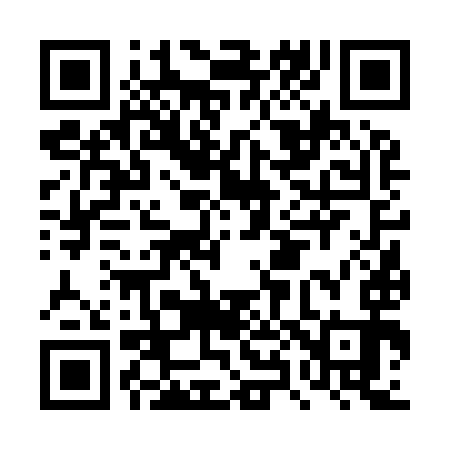 QR code for DX6993
