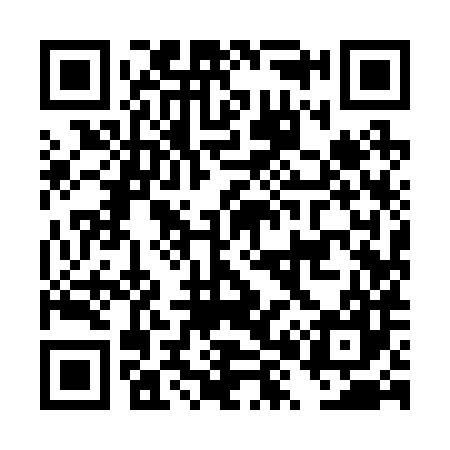 QR code for DX9287