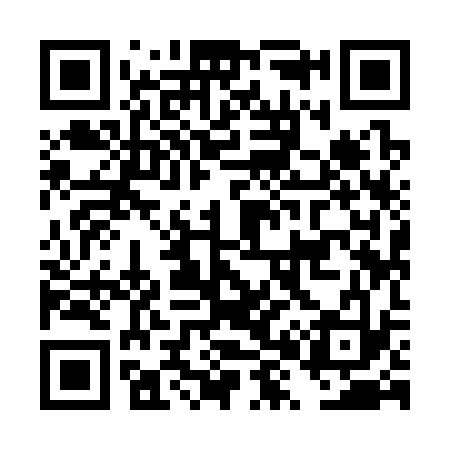 QR code for DX9333