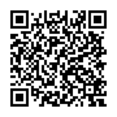 QR code for DX9509