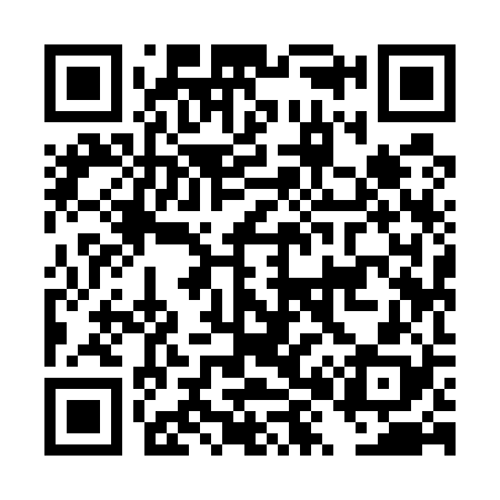 QR code for DX9528