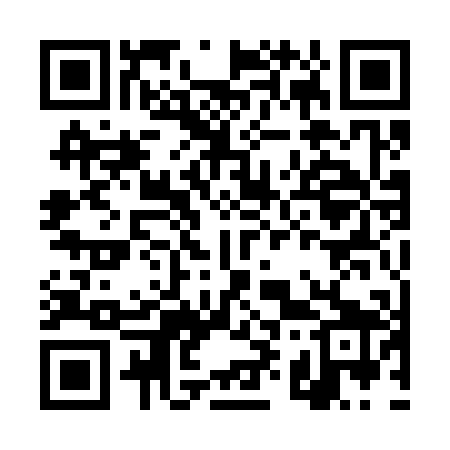 QR code for DY1309
