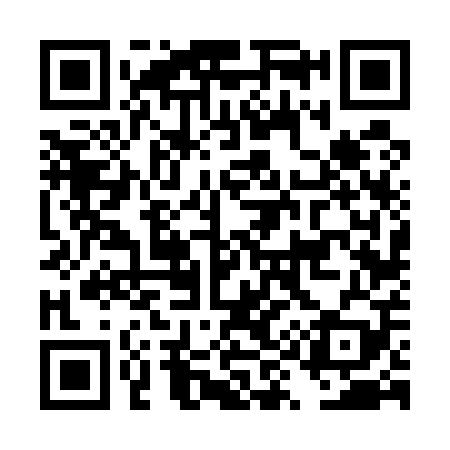 QR code for DY6509