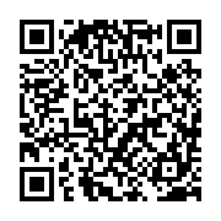 QR code for DY8294