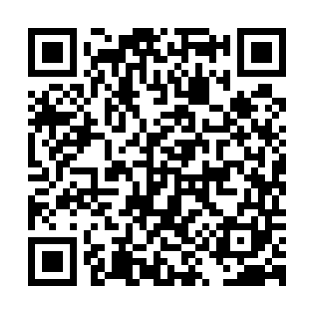 QR code for DY9541