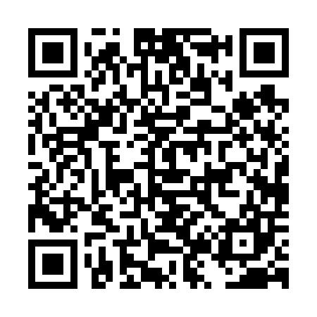 QR code for DZ0607
