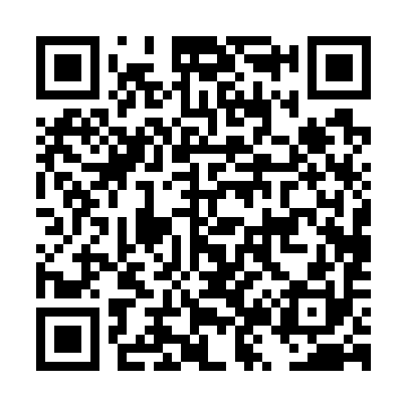 QR code for DZ0790