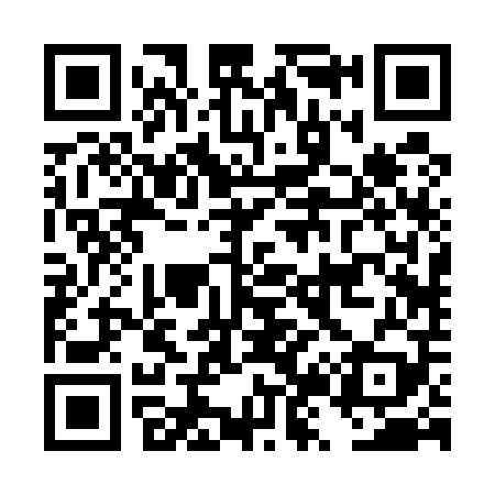 QR code for DZ2509
