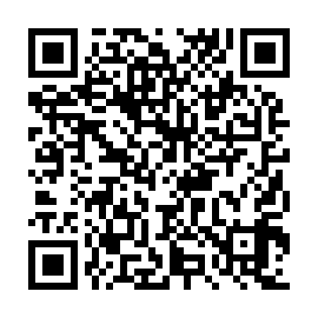 QR code for DZ2919