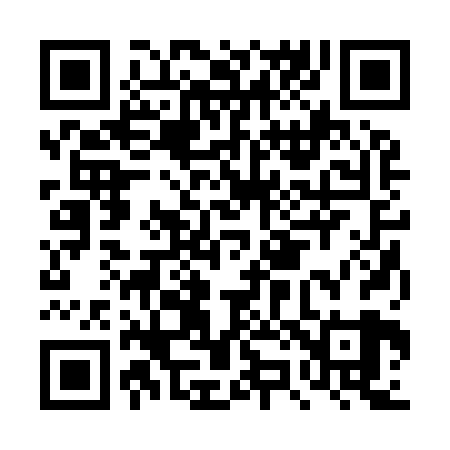 QR code for DZ2929