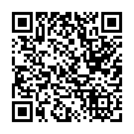 QR code for DZ4379