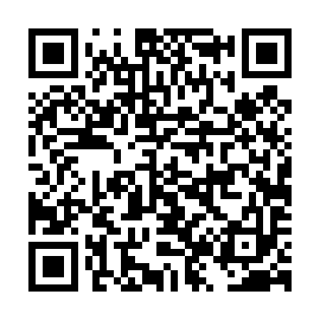 QR code for DZ4493