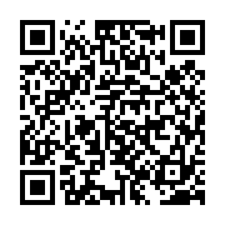 QR code for DZ5433