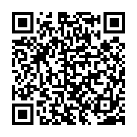 QR code for DZ5533