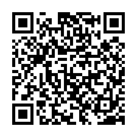 QR code for DZ6533