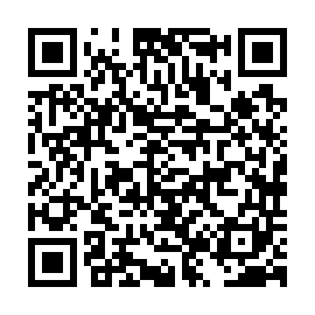QR code for DZ8741