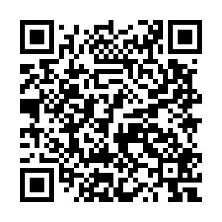 QR code for DZ9509