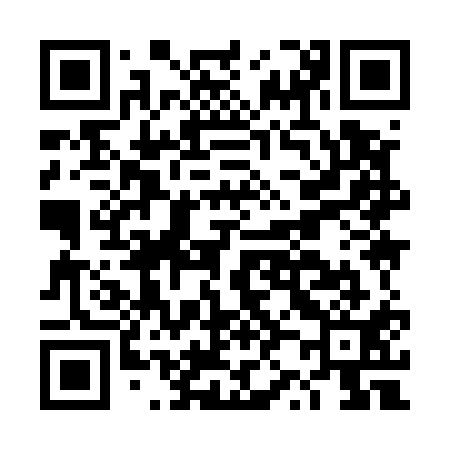 QR code for DZ9511