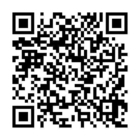 QR code for DZ9536