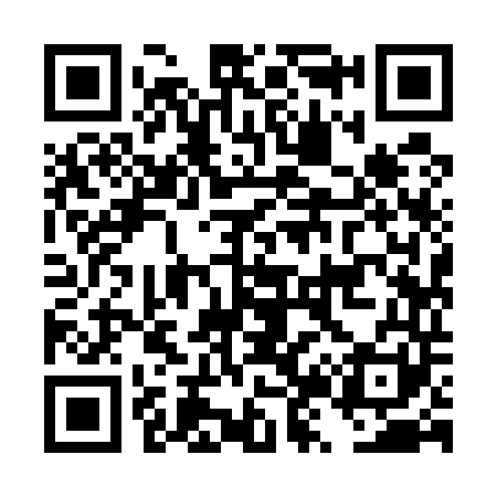 QR code for DZ9541