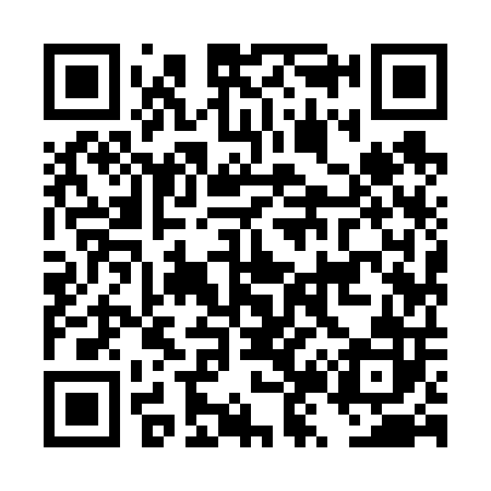 QR code for DZ9602
