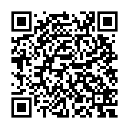 QR code for EE2729