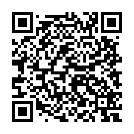 QR code for EE4529