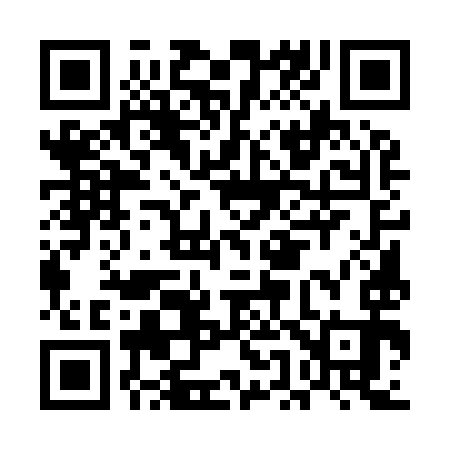 QR code for EE5993