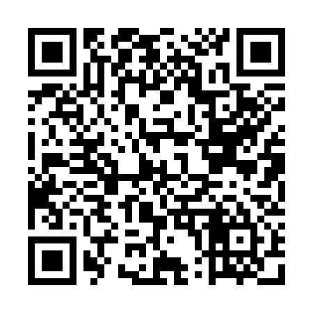 QR code for EP0335