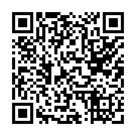 QR code for EP0878