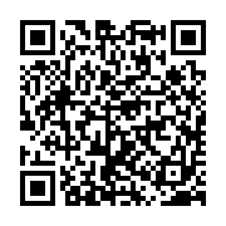 QR code for EP2313