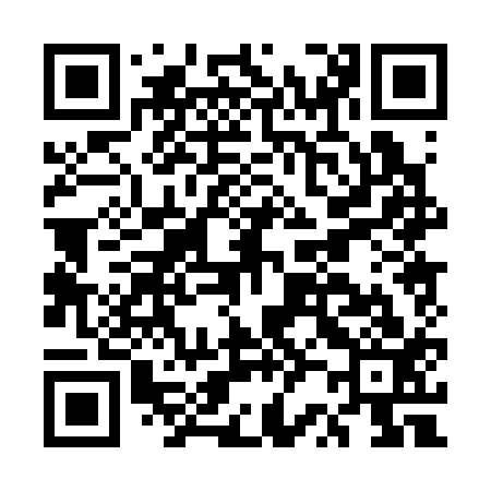 QR code for ER0313