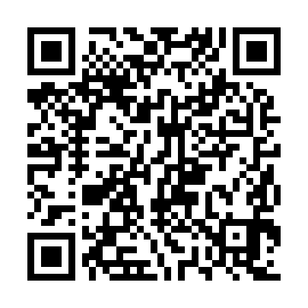 QR code for ER2991