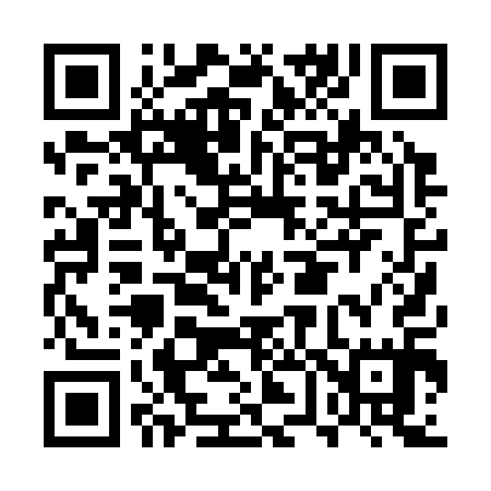 QR code for EV0315