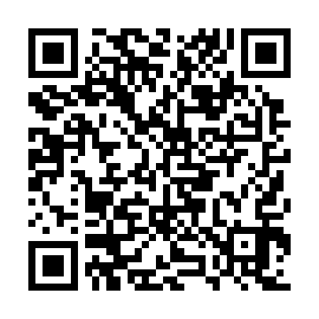 QR code for EZ0313