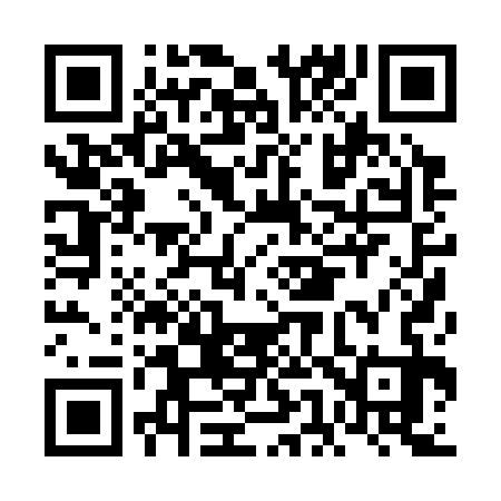 QR code for FE0333