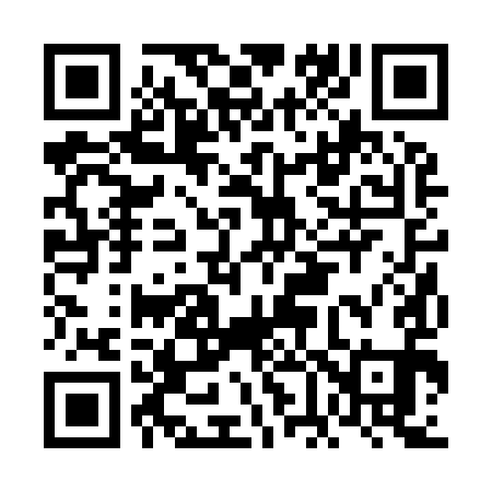 QR code for FF2991