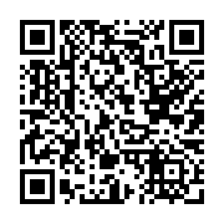 QR code for FF6393
