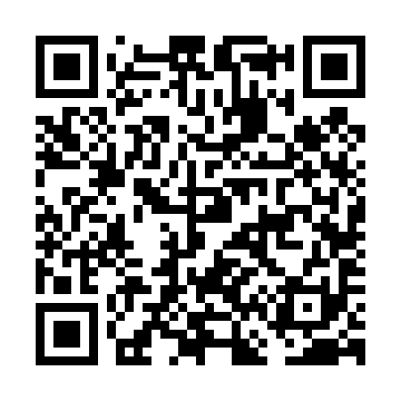 QR code for FF6491