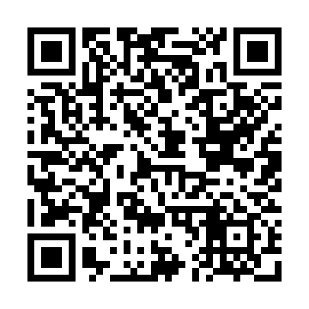 QR code for FF9339