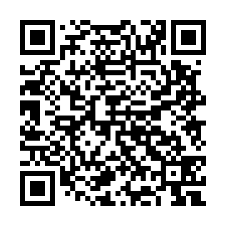 QR code for FG0539