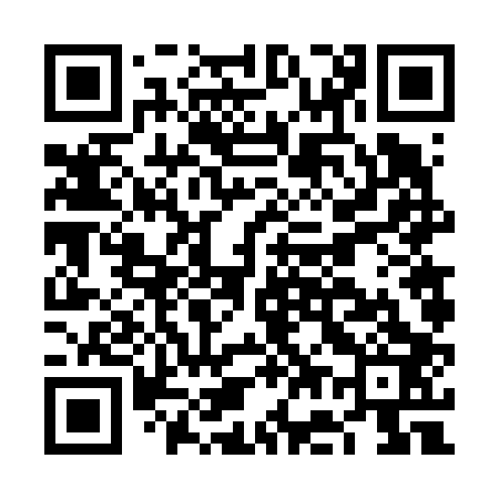 QR code for FG6603