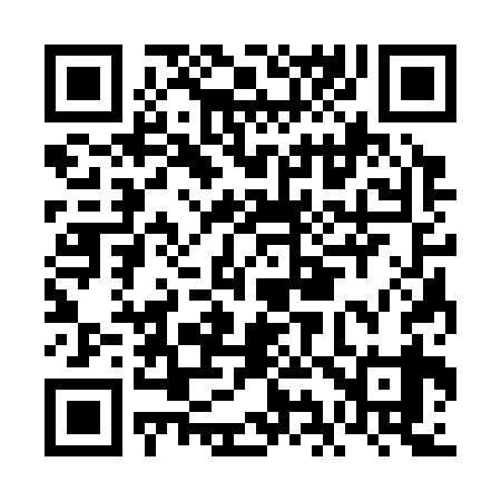 QR code for FI3339