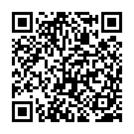 QR code for FI9541