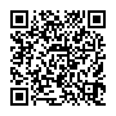 QR code for FI9941