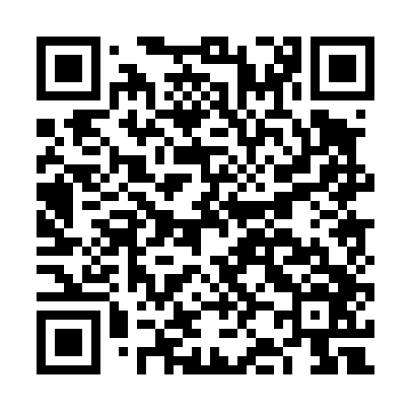 QR code for FJ0446