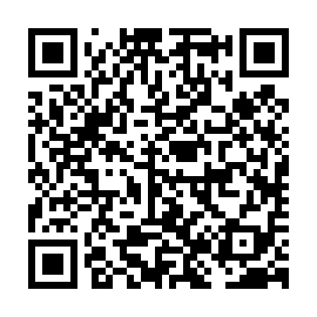 QR code for FJ2419