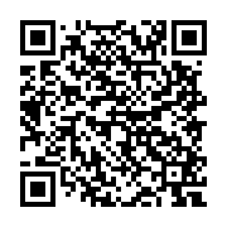 QR code for FJ8541
